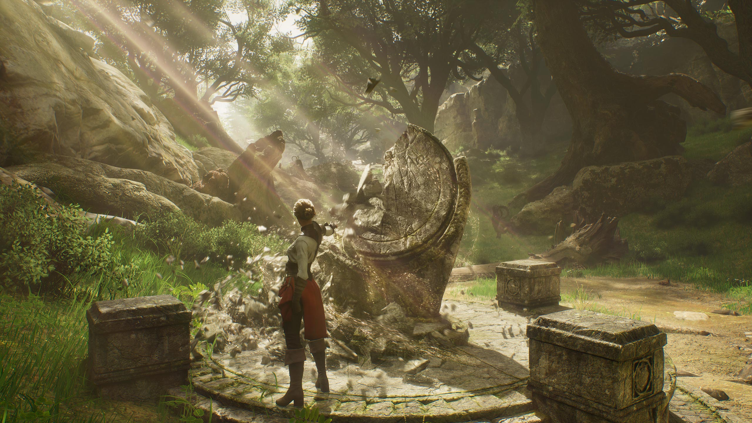 林间遗迹探索